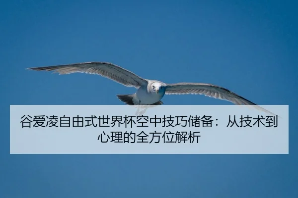 gu-ai-ling-zi-you-shi-shi-jie-bei-kong-zhong-ji-qiao-chu-bei-cong-ji-shu-dao-xin-li-de-quan-fang-wei-jie-xi-2-863.jpg