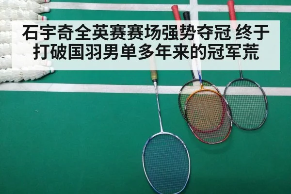 badminton final match
