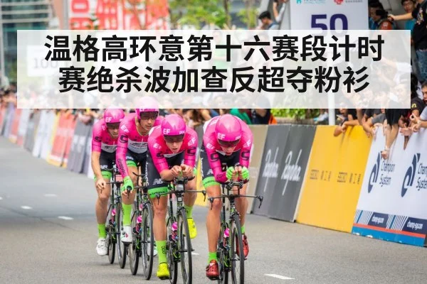 Giro d'Italia pink jersey