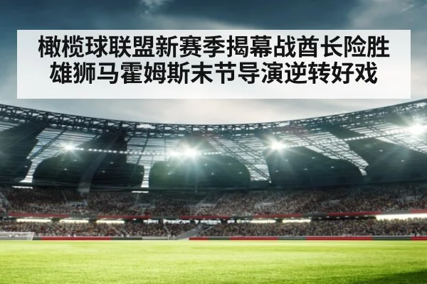 橄榄球联盟新赛季揭幕战酋长险胜雄狮马霍姆斯末节导演逆转好戏